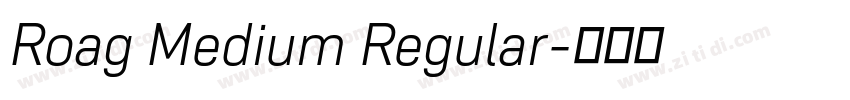 Roag Medium Regular字体转换